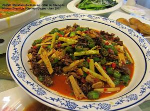 Chengdu juin 2017- 067